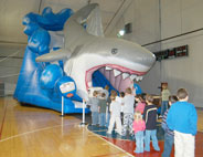 Giant Inflatable Slide