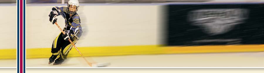 Joe Dumars Fieldhouse